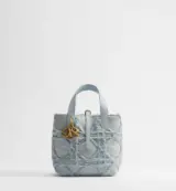 Dior Toujours Small Cannage