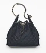 Chanel 25