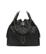 Chanel 25