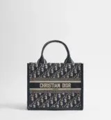 Dior Book Tote Small Oblique