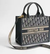 Dior Book Tote Small Oblique
