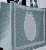 Dior Book Tote Medium Oblique