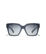 Papillon Bleu gris