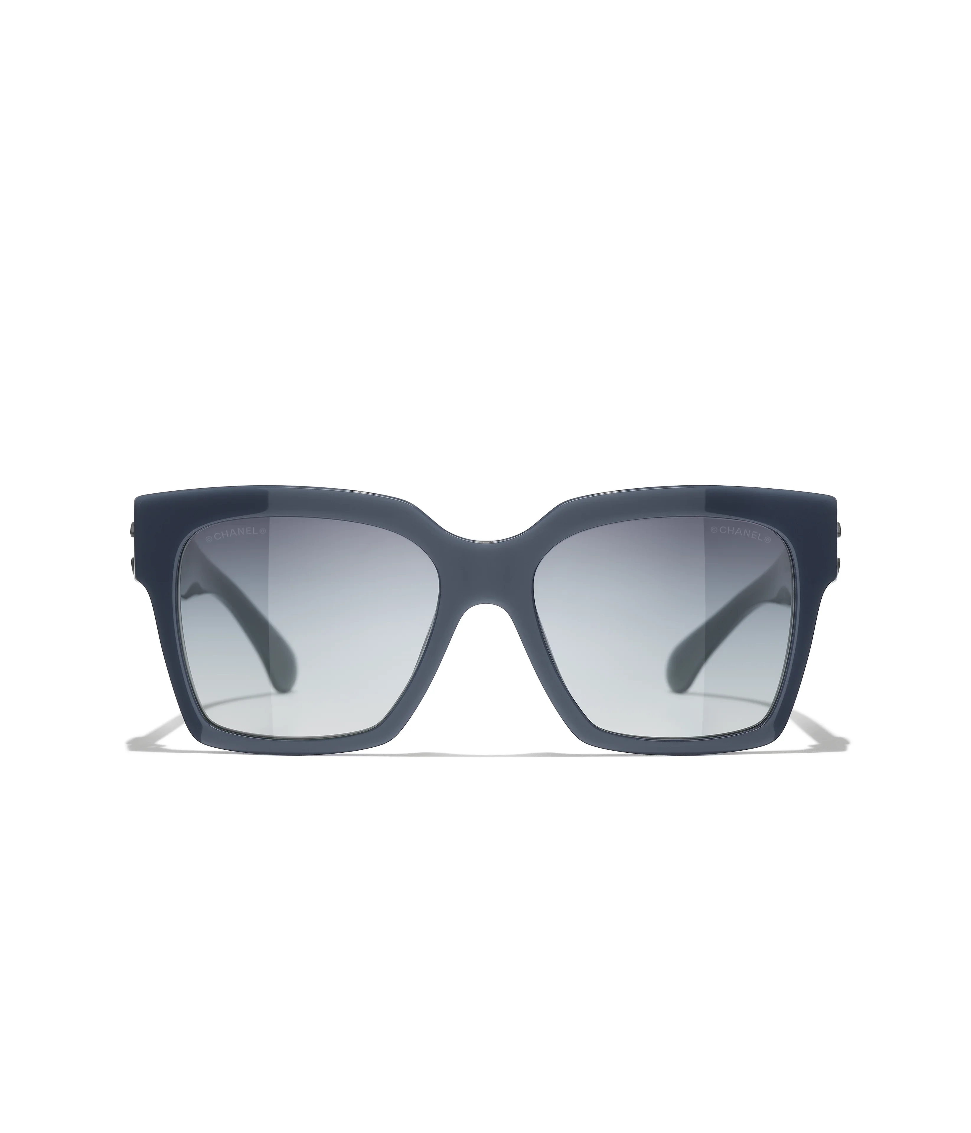 Papillon Bleu gris — Bleu gris