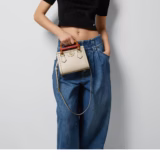 Cabas Gucci Diana petit format
