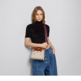 Cabas Gucci Diana petit format