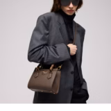 Cabas Gucci Diana petit format