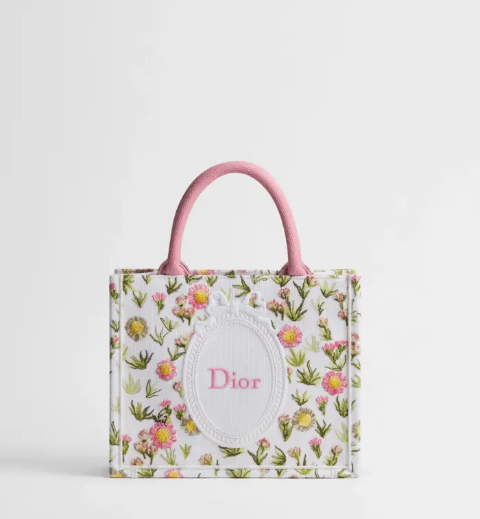 Dior Book Tote Small