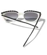 Papillon Noir & blanc