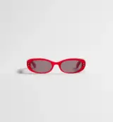 Dior Oblique rouges