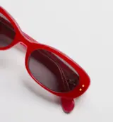 Dior Oblique rouges