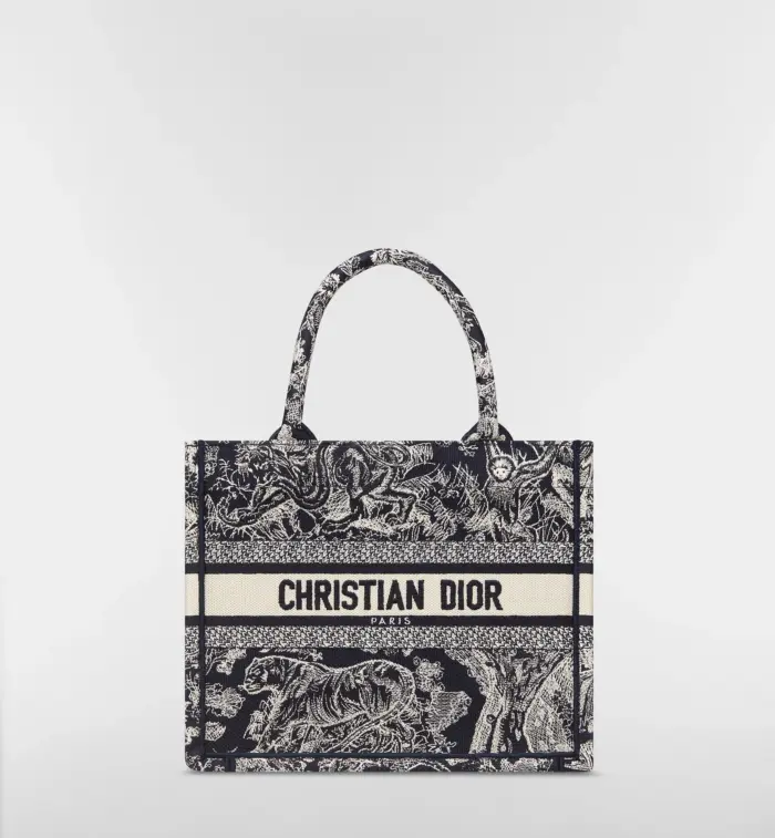 Dior Book Tote Small