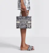 Dior Book Tote Small