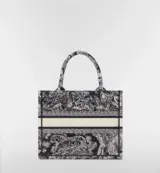 Dior Book Tote Small
