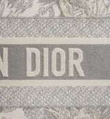 Dior Book Tote Medium
