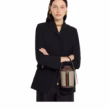 Sac seau Ophidia mini format