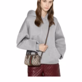 Sac Boston Ophidia mini format
