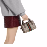 Sac Boston Ophidia mini format