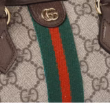Sac Boston Ophidia mini format