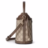 Sac seau Ophidia mini format