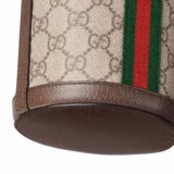 Sac seau Ophidia mini format