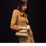Sac à épaule Dionysus petit format