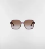 DiorTreasure transparent