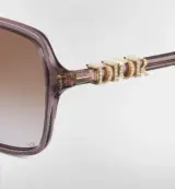 DiorTreasure transparent